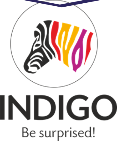 Indigo Paints